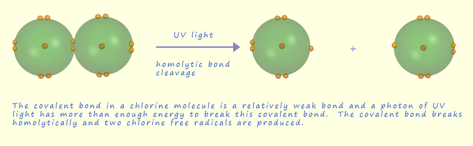 The covalent bond in a chlorine molecule splits homolytically to form two chlorine free radicals when UV is shone onto it